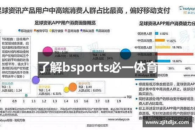 了解bsports必一体育